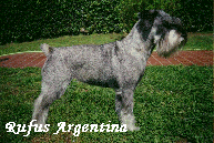 RUFUS ARGENTINA HD0