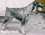 RUFUS BABA