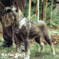 CH. IT. INT. SOC. RUFUS PIAFF (CALL 1)