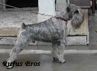 RUFUS EROS DETTO "OTTO"