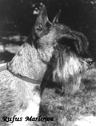CH. IT. INT. SOC. D.BDS. RUFUS MARLOWE HD0