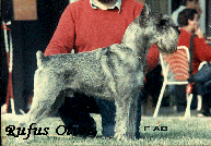CH. IT. RUFUS OLIVER
