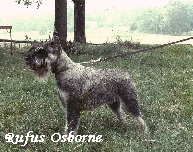 RUFUS OSBORNE