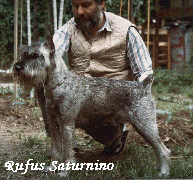 CH. IT. IMT. RIP. RUFUS SATURNINO