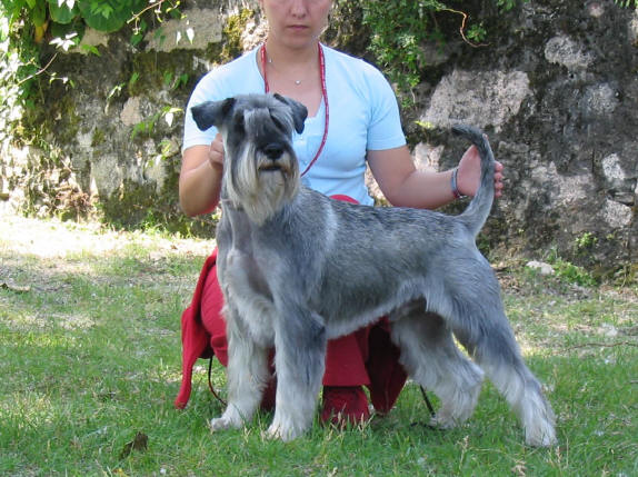 Janez e Federica  ( foto Bonavenrura )